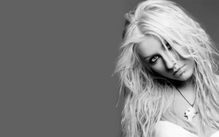 Woman blonde hair posing picture 4 - grey background free wallpaper