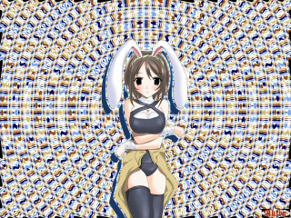 Cat girl anime bunny thighhighs - anime style free wallpaper