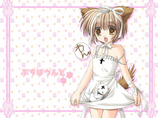 Anime girl cat shoulder floral - her shoulder free wallpaper