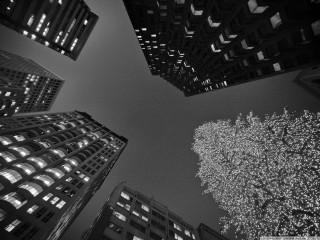 Black white city night lights 3 - photo of a city free wallpaper