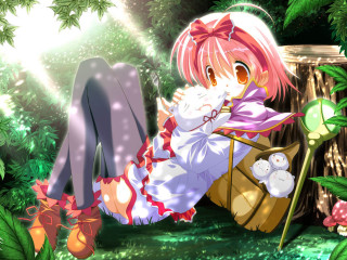 Girl bench woods cat teddy - a bench free wallpaper