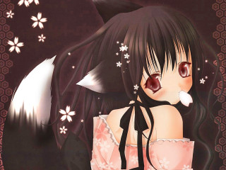Alice prin anime girl fox - a black cat free wallpaper