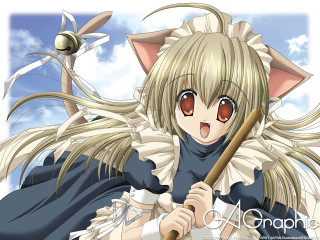Anime cat ears broom blue - her head free wallpaper