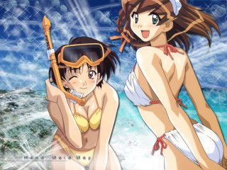 Beach anime girls sword goggles - a sword free wallpaper for desktop