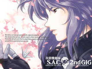 Purple hair girl flower sakura - a black jacket free wallpaper