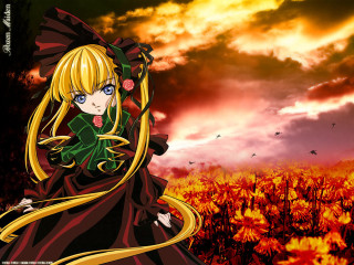 Woman dress flower field sunset - a long dress free wallpaper