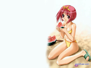 Girl beach watermelon bikini hat - a girl in a bikini free wallpaper