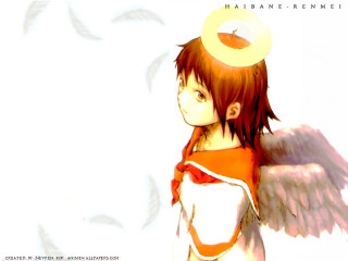 Angel halo wings dove school - holography free wallpaper