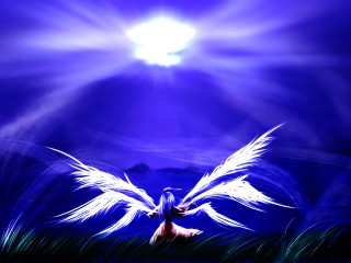 Bird wings flying blue sky - a painting of a bird free wallpaper