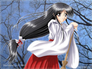 Woman white dress broom baretree - a broom free wallpaper