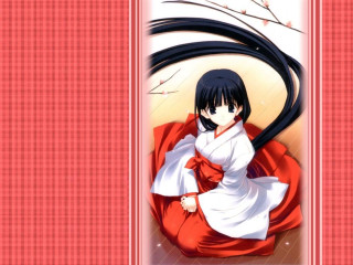 Woman red dress black cat - a white border free wallpaper