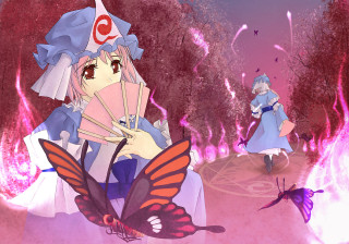 Girl butterfly kimono cherry blossoms - pink free wallpaper for desktop