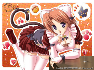Girl cat dress wine anime - a glass of wine free wallpaper