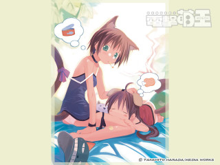 Anime girls bed animal ears - top of a bed together free wallpaper