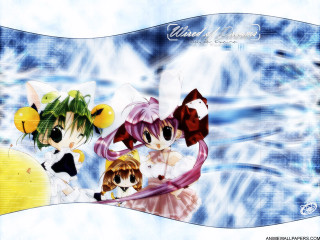 Anime 3girls balloons cat blue - anime visual free wallpaper