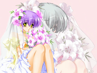 Wedding dress flower bouquet veil - a bed of flowers free wallpaper