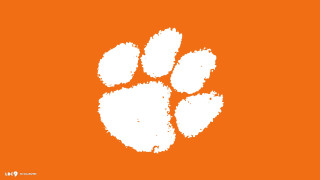White orange bear paw orange - an orange background free wallpaper