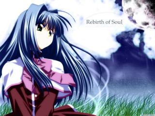 Girl long hair grass moon - full free wallpaper