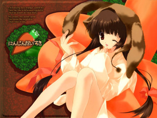 Woman cat bow longhair dogears - art free wallpaper for desktop