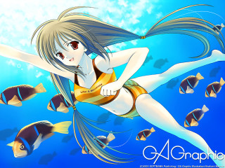 Woman bikini ocean fish diving - fish free wallpaper