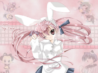 Pink haired girl rabbit ears - net art free wallpaper