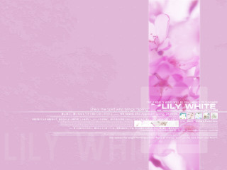 Pink background white flower white - lyco art free wallpaper for desktop