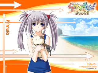 Girl cat beach ocean sunset - a girl holding free wallpaper for desktop