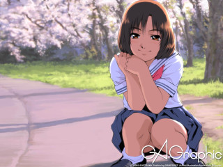 Girl cherryblossoms park schooluniform squatting - cherry blossom free wallpaper