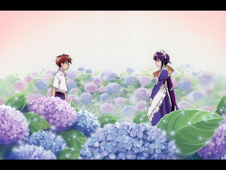 Flower field purple sky kyoto - a field of flowers free wallpaper