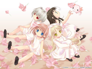 Three girls petals pig rose - three girl free wallpaper