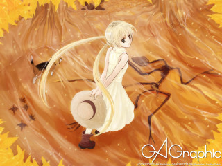 Girl white dress hat bird - a yellow leaf free wallpaper