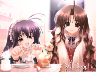 Anime girls pig milk aya - official free wallpaper for desktop