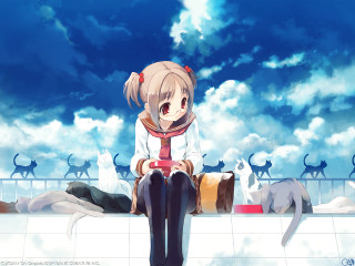 Girl ledge cats sky anime - the sky above her free wallpaper