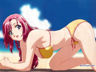 Beach blonde pinkhair purpleeyes bikini - the beach free wallpaper for desktop