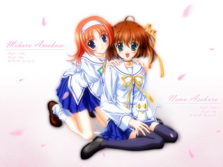 Anime girls cherry blossoms school 4 - pink petal free wallpaper