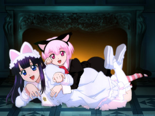 Two anime girls cat ears - the floor next free wallpaper