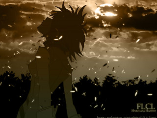 Silhouette sunset twilight birds feathers - a sun in the distance free wallpaper