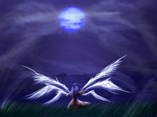 Bird fullmoon night sky wings - the night sky free wallpaper