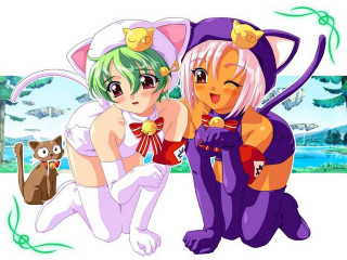 Anime characters cat furry manga - a picture together free wallpaper