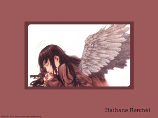Habanne remei angel wings album - a picture of a girl free wallpaper