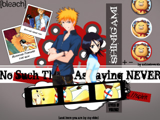 Anime characters man woman duck - the background and a caption free wallpaper