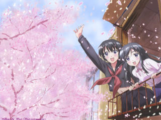 Balcony cherry blossoms anime girls - a balcony free wallpaper