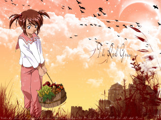 Girl basket fruit field birds - a city in the background free wallpaper