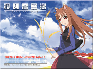 Anime wolf girl archer blue - a poster free wallpaper