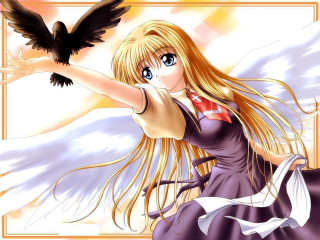 Blonde woman bird wings purple - a white background free wallpaper