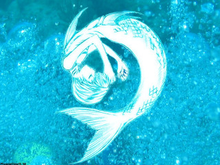 Fish long tail water bubbles - amano free wallpaper