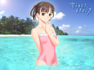 Girl pinkswimsuit beach palm sky - the water near a beach free wallpaper