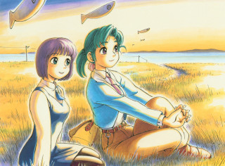Couple field plane manga beach - overhead free wallpaper