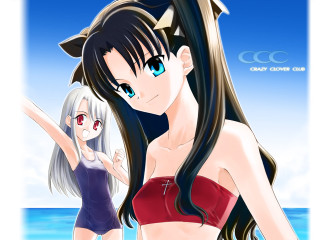 Beach bikini anime 2girls saber - an anime drawing free wallpaper for desktop