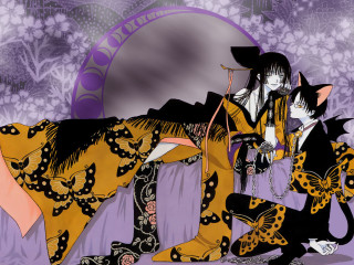 Woman yellow black dress cat - a bed next free wallpaper
